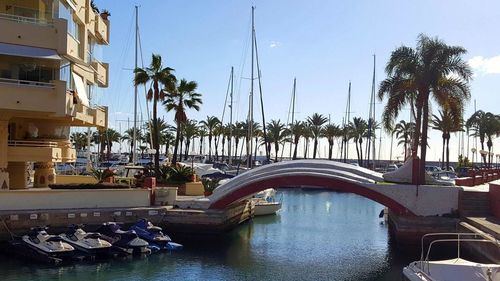 Panoramic shot of palm trees against clear sky