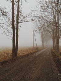 Road passing through forest