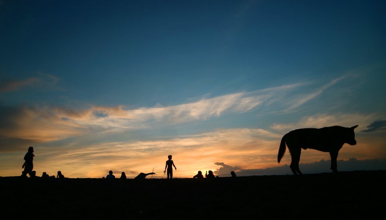 sky, sunset, silhouette, cloud - sky, domestic animals, mammal, domestic, land, pets, nature, group of people, field, men, real people, orange color, beauty in nature, leisure activity, livestock, outdoors