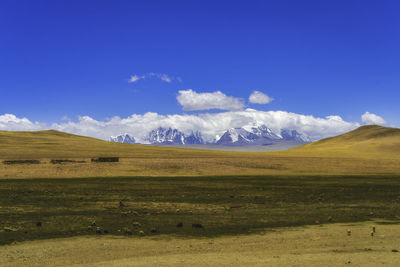 Scenic view of desert against sky