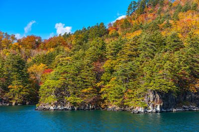 Scenic view of trees against sky during autumn