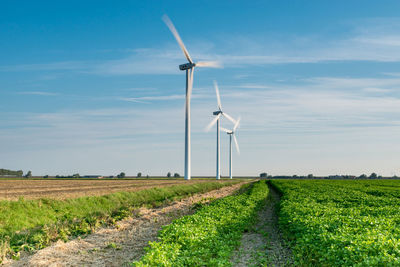 Wind turbines on field against sky