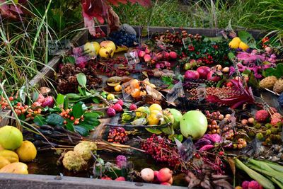 Fruits for sale in market