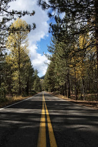 Road amidst trees against sky