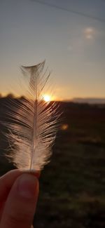 Person holding feather against sky during sunset