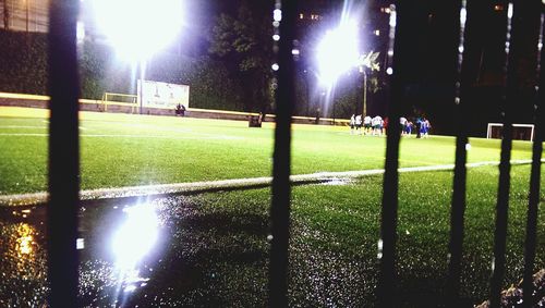 Sun shining through trees