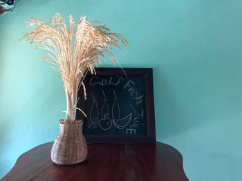 Plant in vase on table against wall