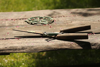 Close-up of wood on field