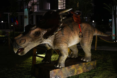 Statue of horse at night