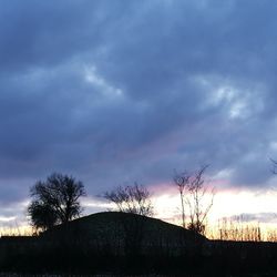 Low angle view of silhouette trees against sky