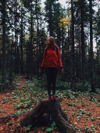 Woman standing on tree stump in forest