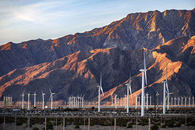 Huge desert wind farm with san jacinto mountain backdrop