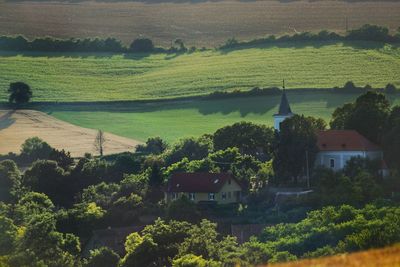 Scenic view of trees and houses in field