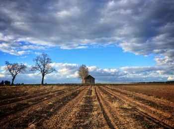 Scenic view of agricultural field against sky