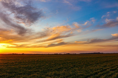 Scenic view of field against sky during sunset