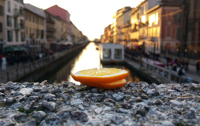 Close-up of lemon slices on retaining wall over canal