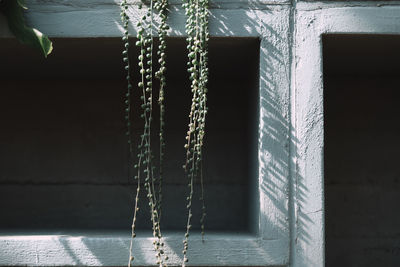 Close-up of clothes hanging on wall