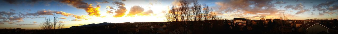 Panoramic view of silhouette trees against sky