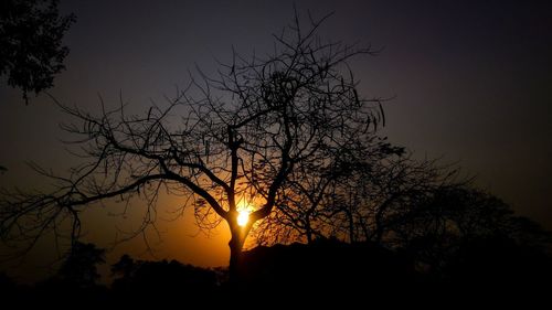 Silhouette trees against sky during sunset