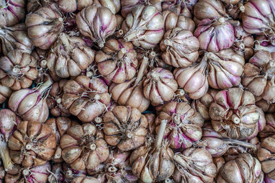 Lots of ripe and dried garlic bulbs lying in a crate. view from the top.