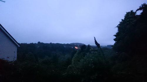 Trees against clear sky