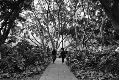 Rear view of people walking on walkway