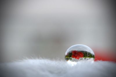 Close-up of snowflakes on snow