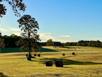 Scenic view of field against sky