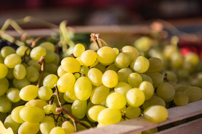 Close-up of grapes