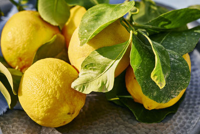 Vibrant fresh lemons and leaves in bright sunshine on table