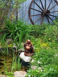 Woman sitting on grass