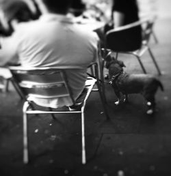Man feeding horse