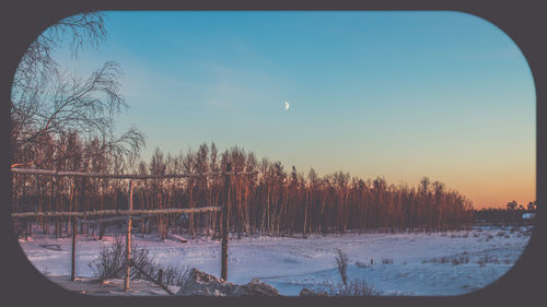 Trees on snow field against sky during winter