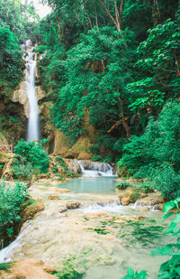 Scenic view of waterfall in forest