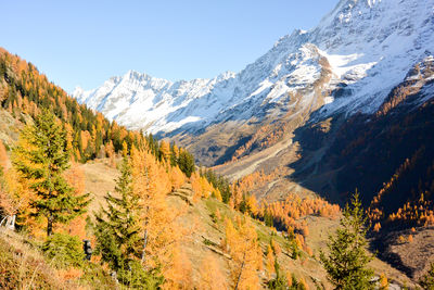 Scenic view of snowcapped mountains against clear sky