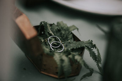 Close-up of rings in container