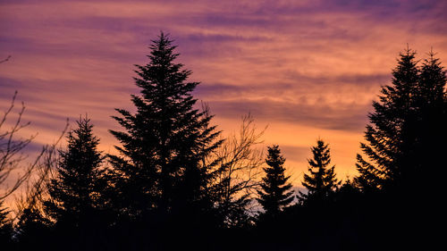 Silhouette trees in forest against sky at sunset