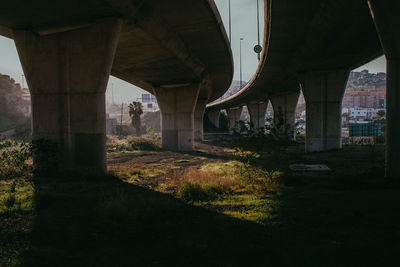 View of bridge against trees