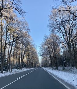 Bare trees on snow covered road against sky during winter