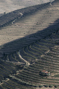 High angle view of agricultural field