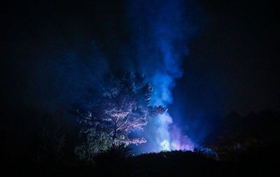 Low angle view of silhouette trees against sky at night