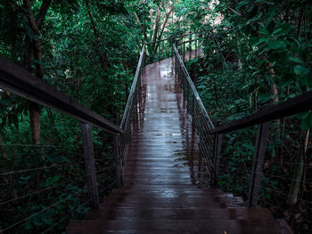 Footbridge amidst trees in forest