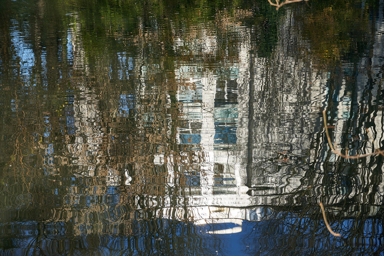 HIGH ANGLE VIEW OF TREES BY LAKE AGAINST BUILDING