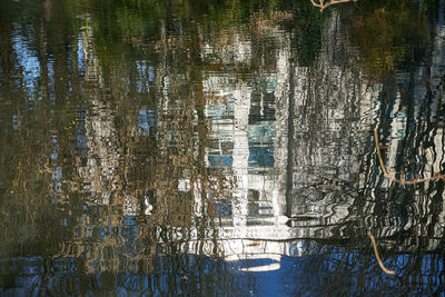 High angle view of trees by lake