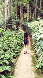 Rear view of woman walking in forest