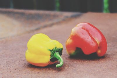Close-up of food