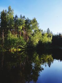 Scenic view of lake in forest against sky