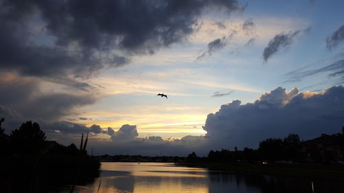 Silhouette birds flying over lake against sky during sunset