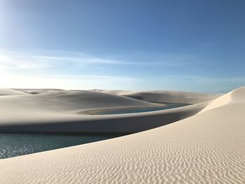 Scenic view of desert