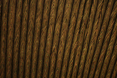 Full frame shot of tree trunk